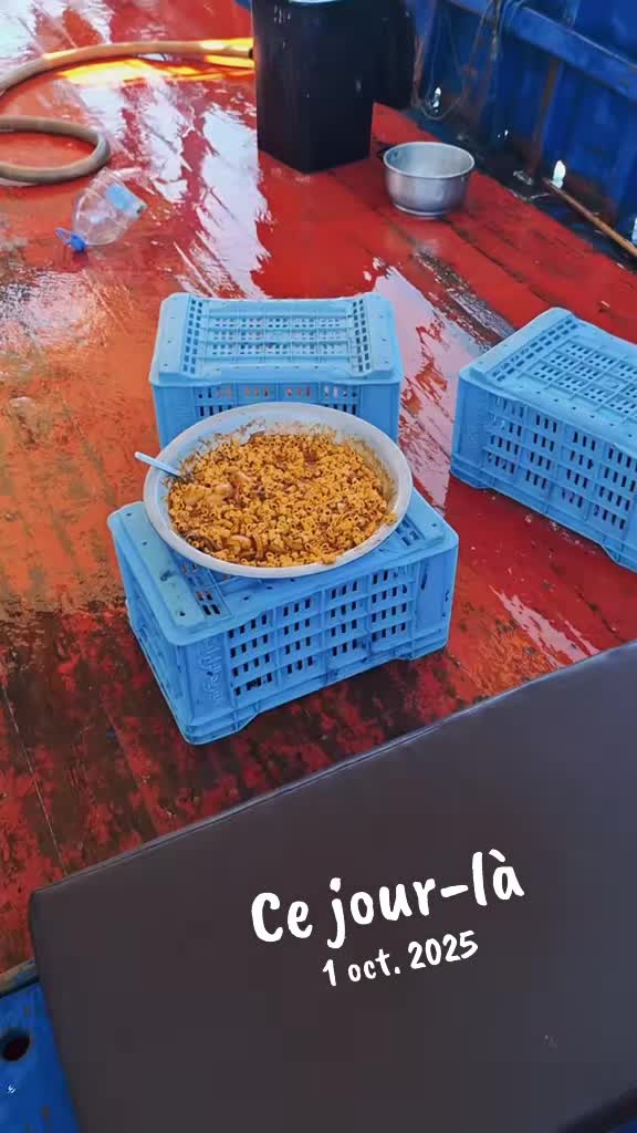 @حفيظي أمين