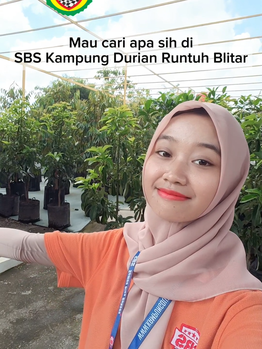 @Produksi Buah_SBS