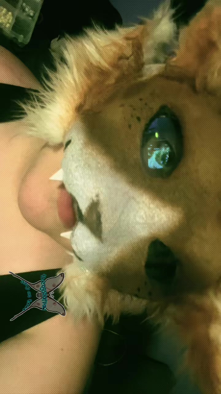 @Solar&rsquo;paw