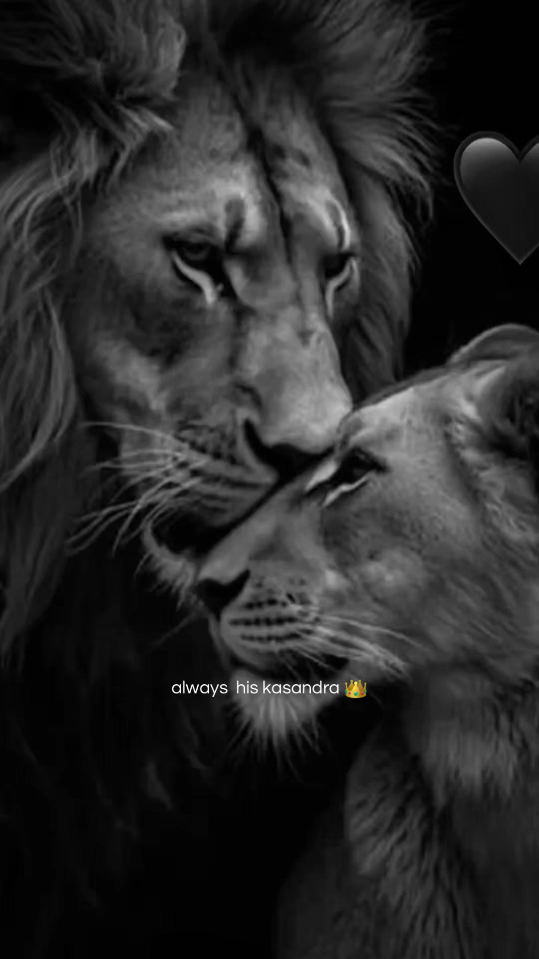 @𝓕𝓪𝓽𝓸𝓾𝓶𝓪✨