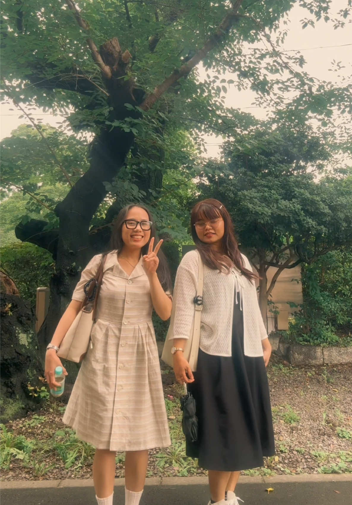 @AirevonAlegna🇯🇵