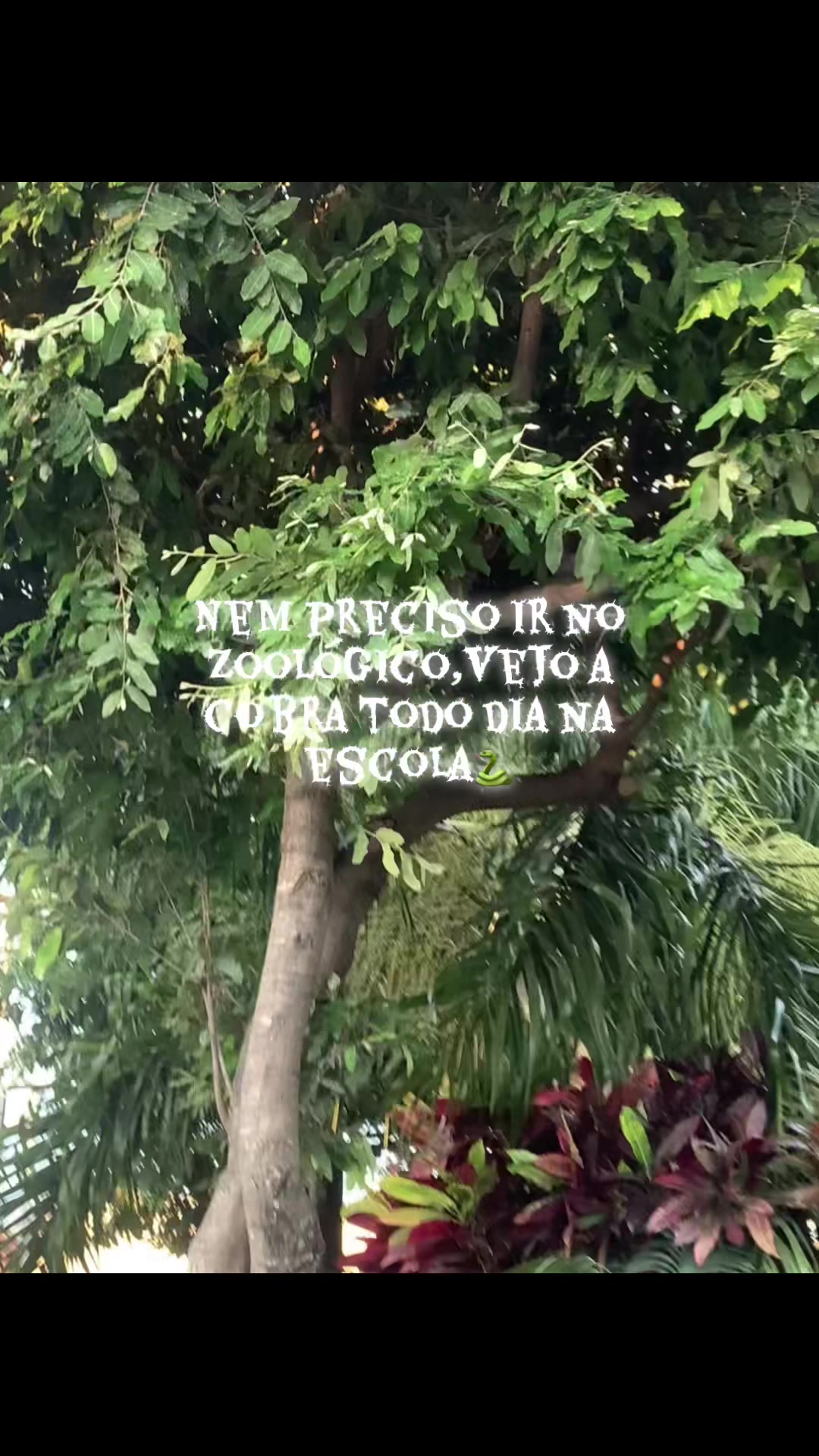 @desconhecida🫦