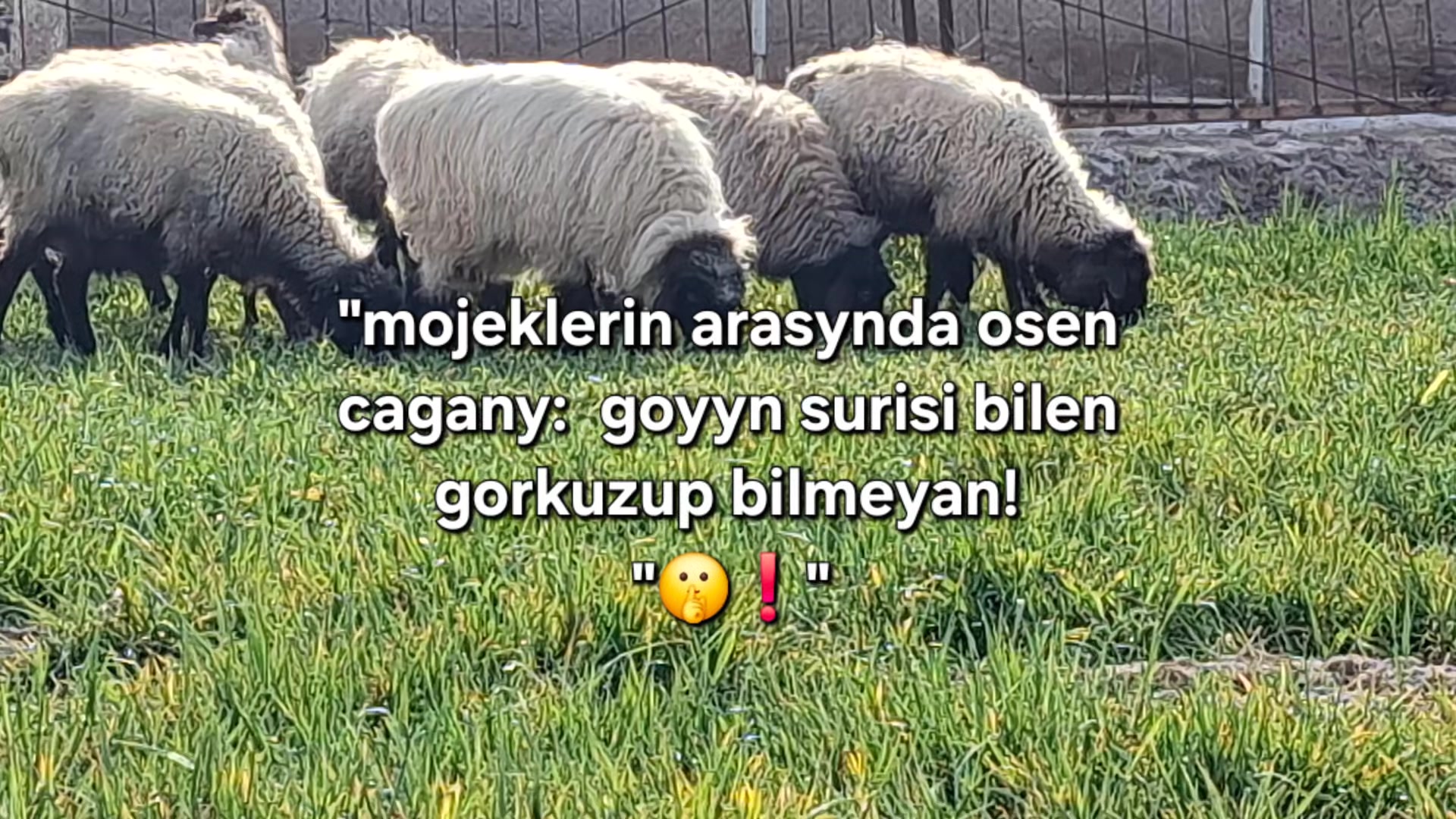 @parry_7