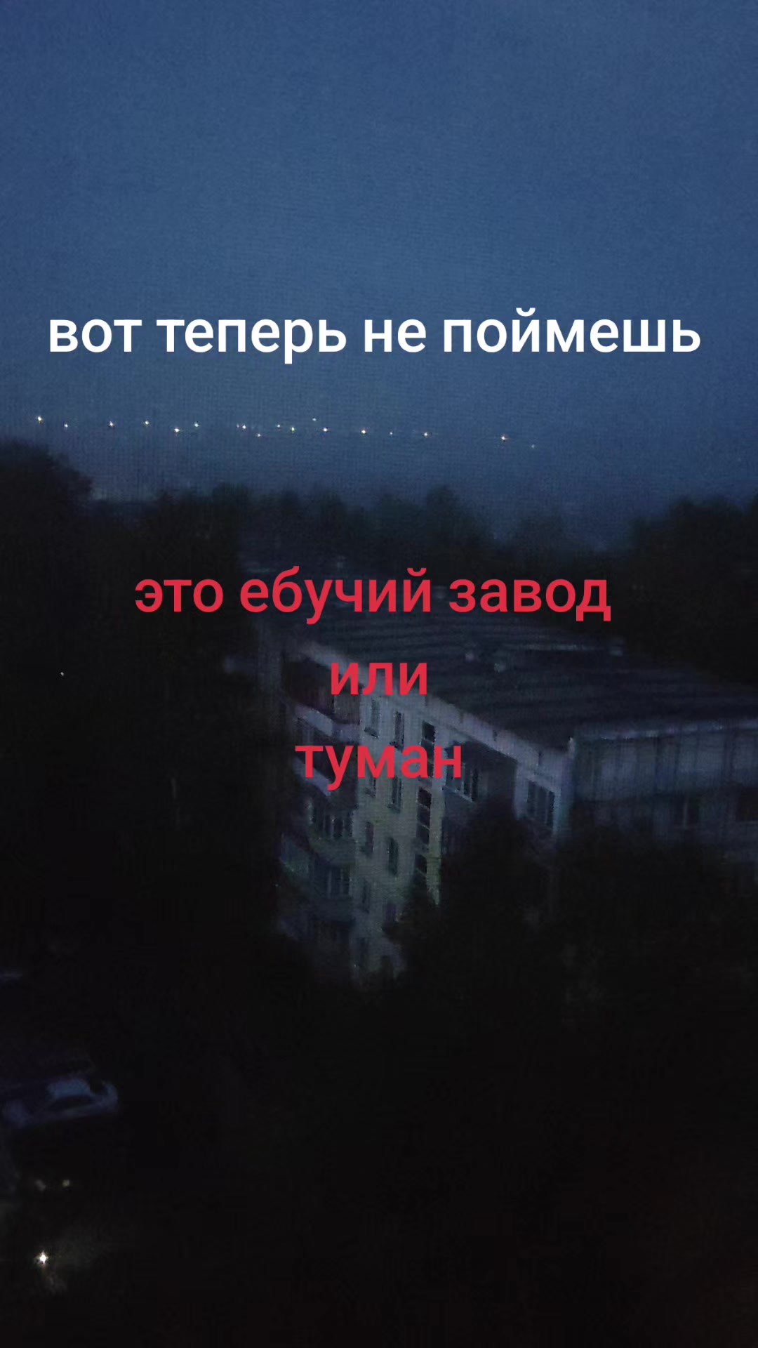 @манга настаящий✅