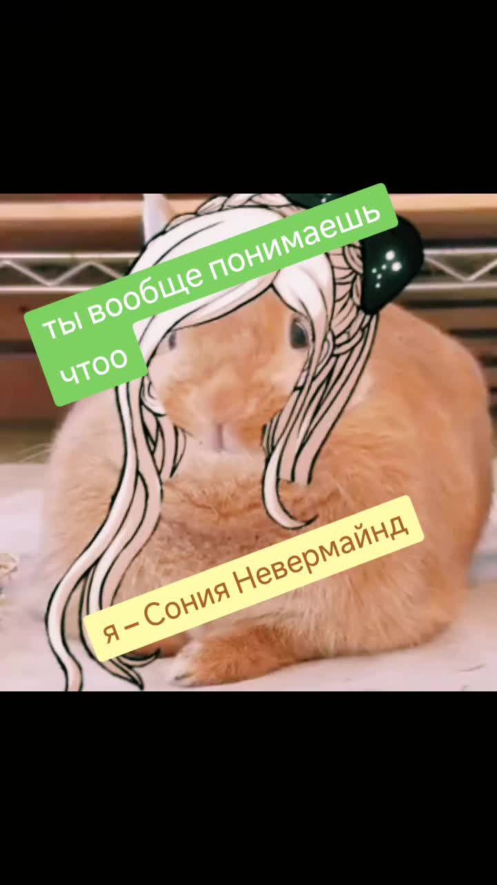 @ашалеть#11037