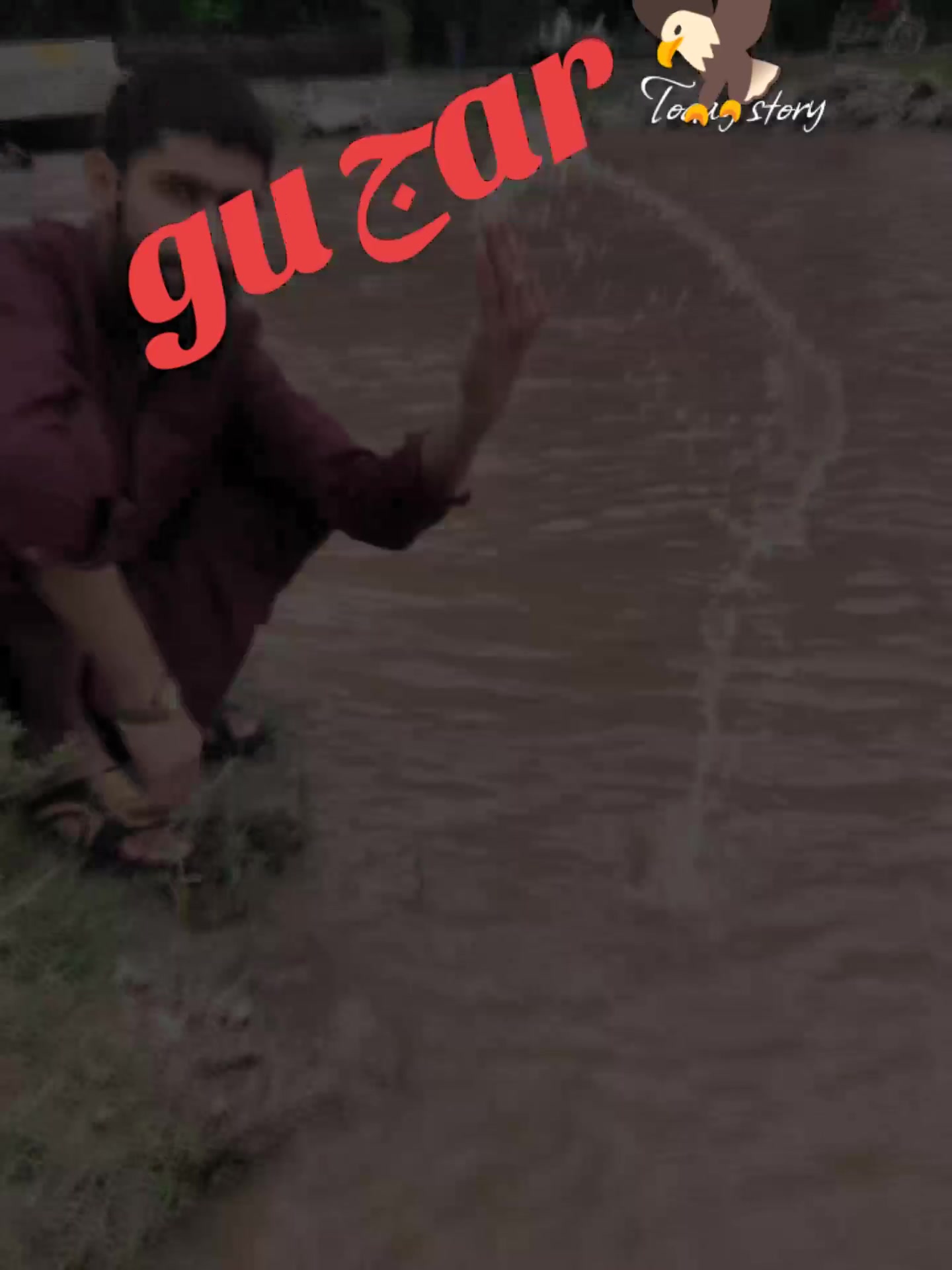@M Ismaeel Gujjar