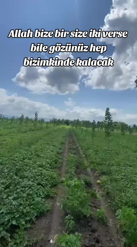 @Eᴅᴀɴᴜʀ ᴏ̈ᴢ