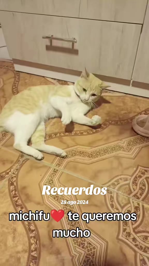 @cami19