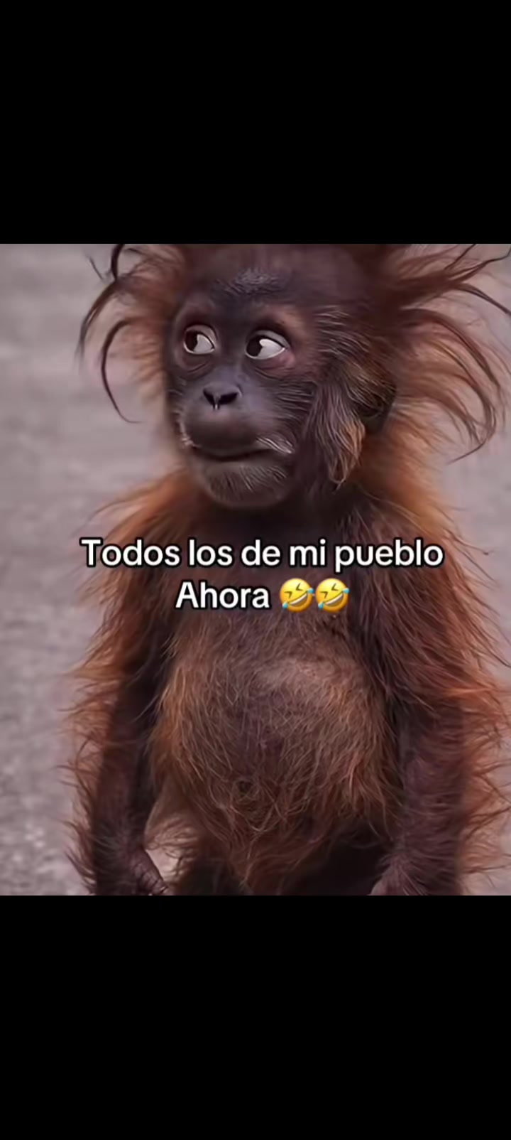 @Mireyalm