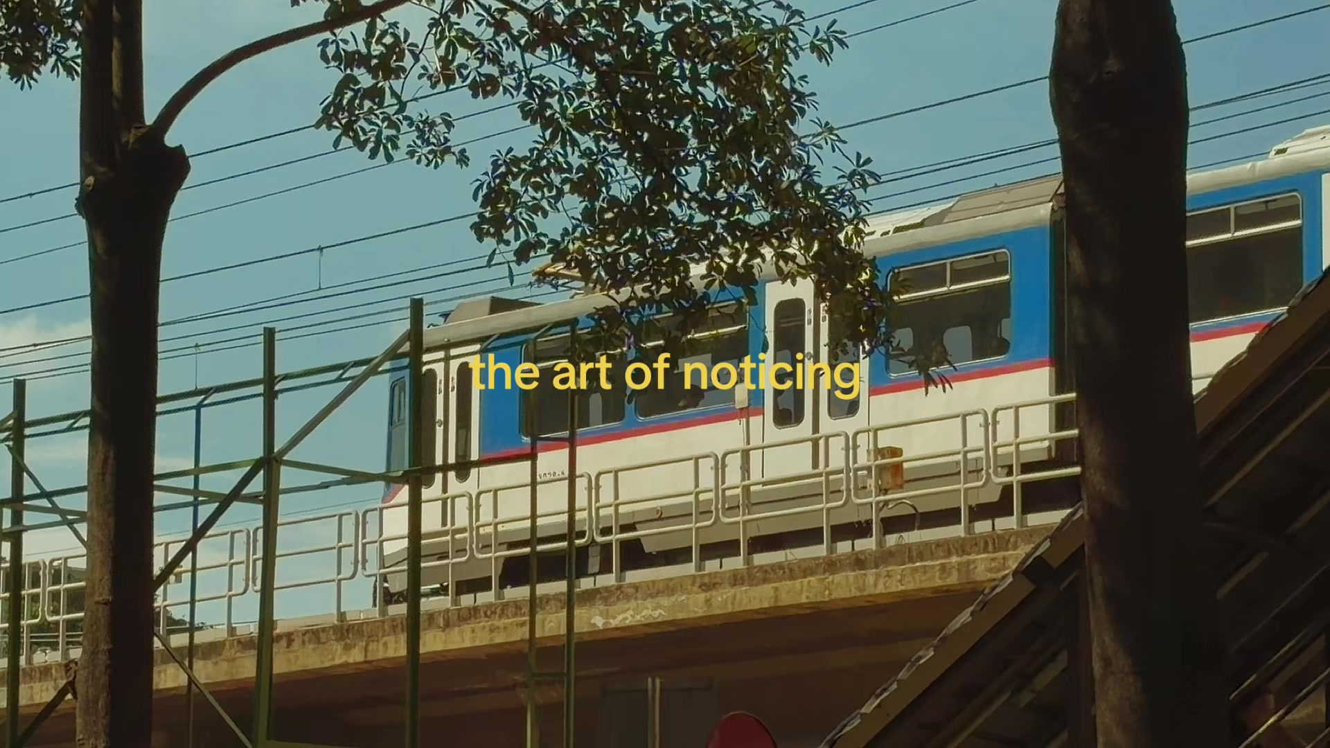 @Cli ♡