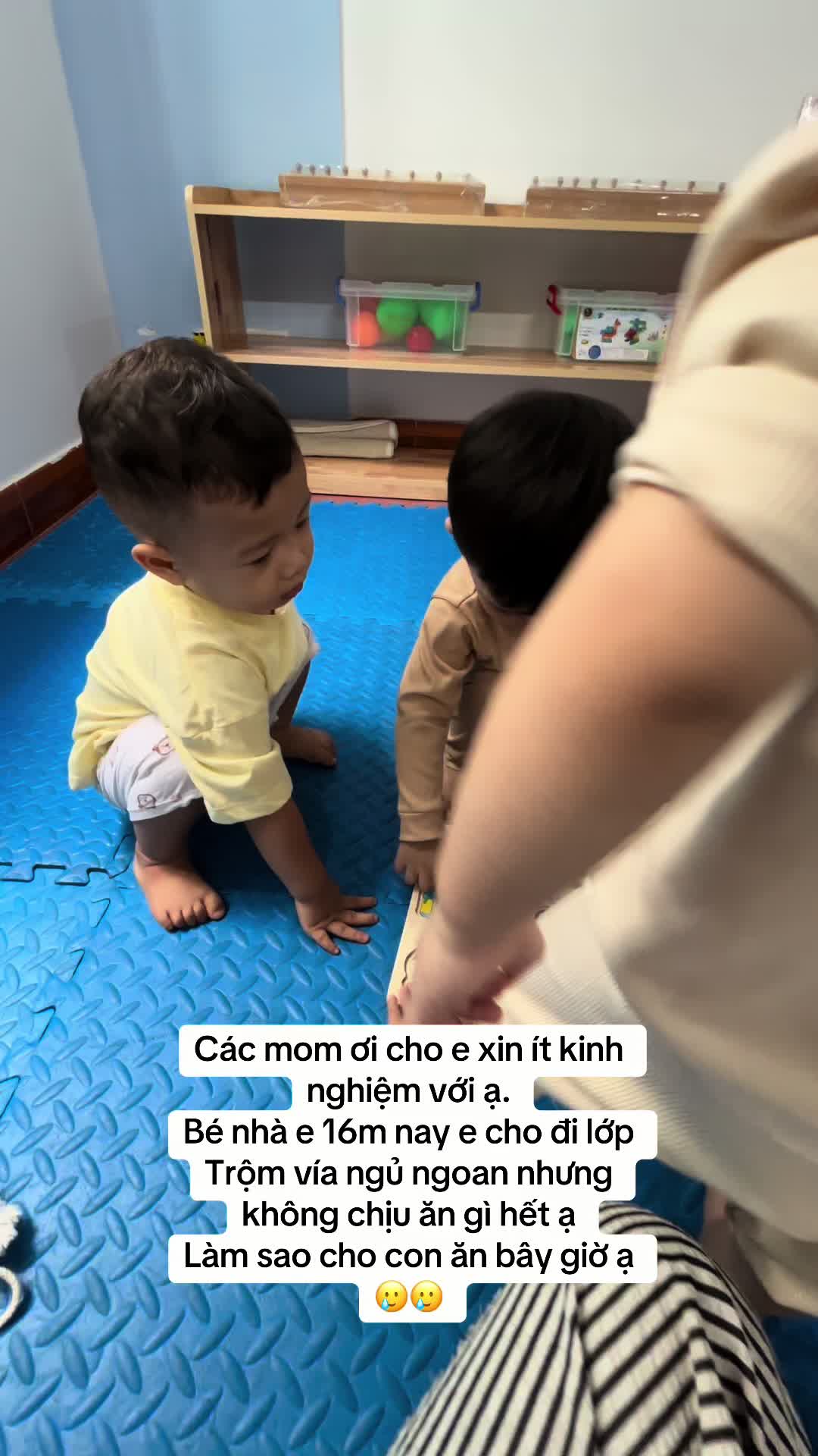 @Cá Heo Cá Voi