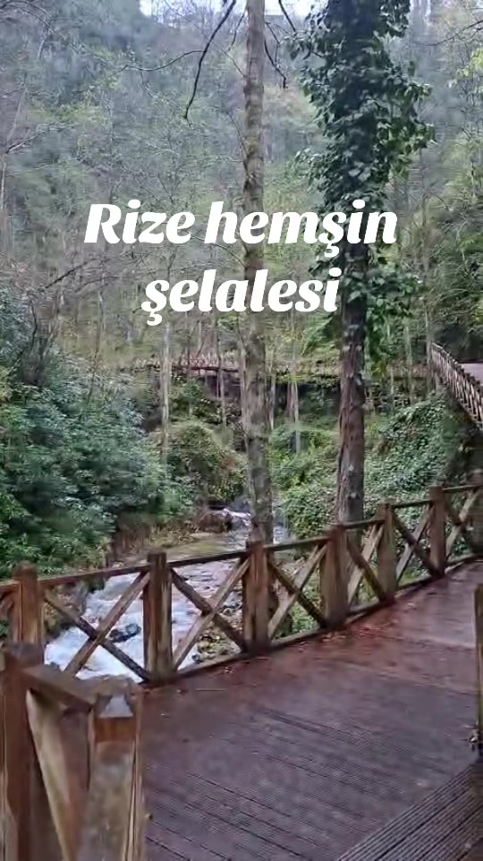 @Şervan Oran