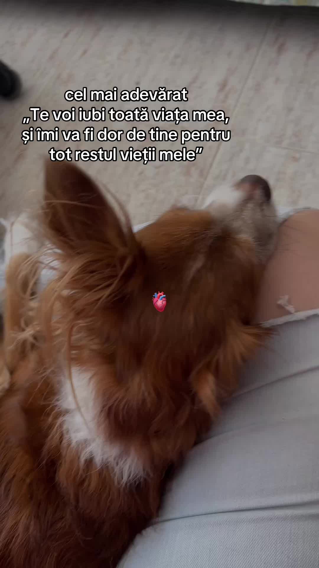 @sandra🦦
