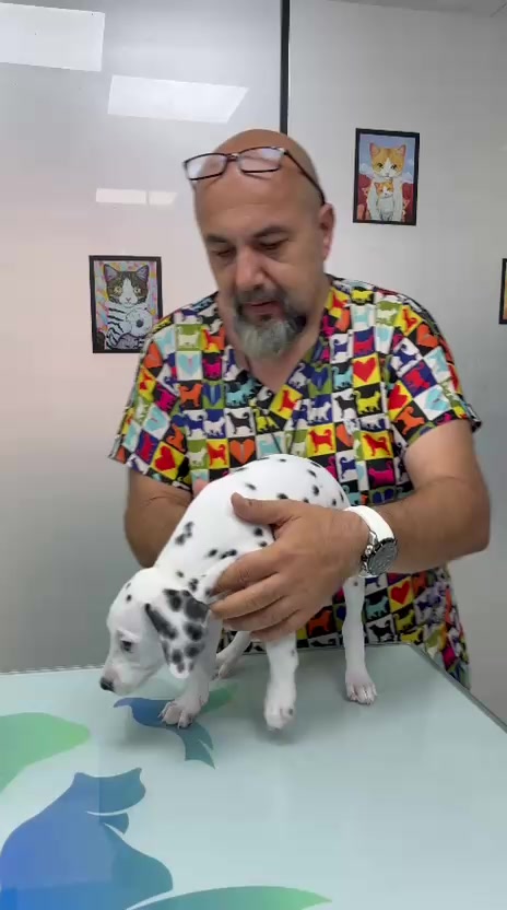 @ilker Örkmez