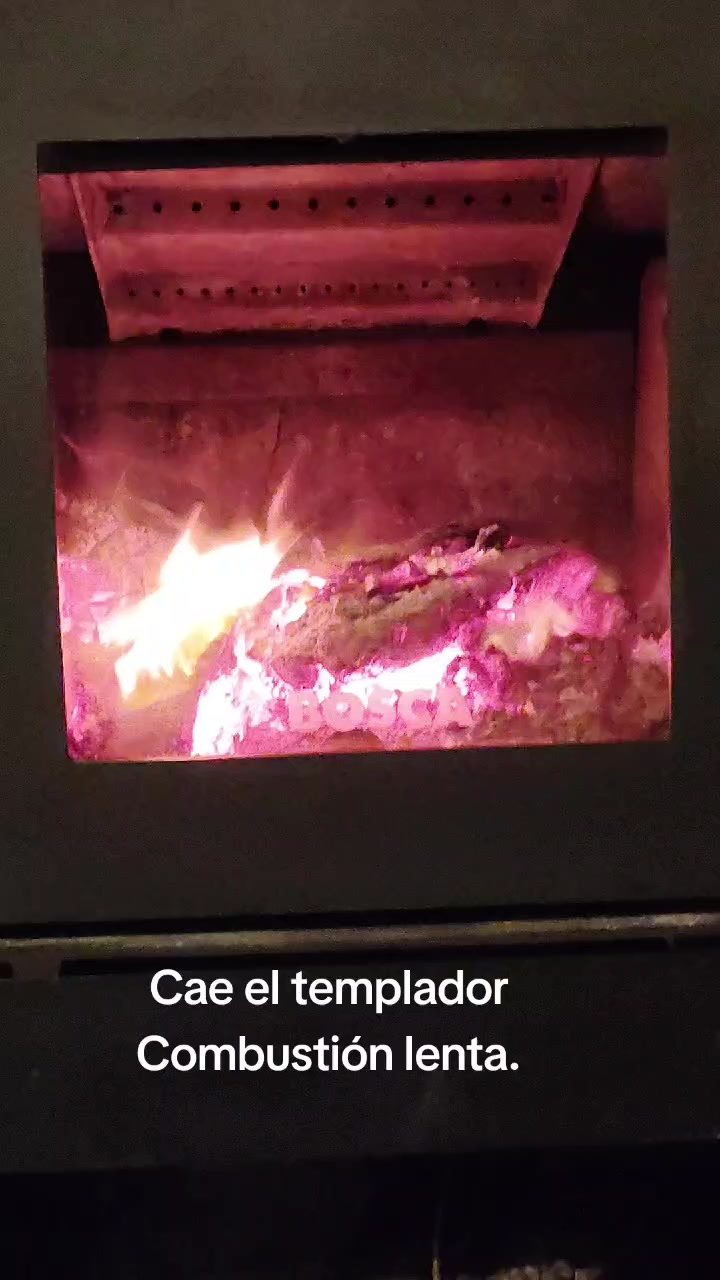 @patriciareyes2741