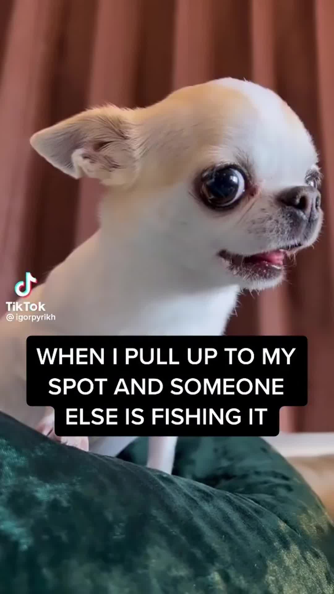 @Lunkerville