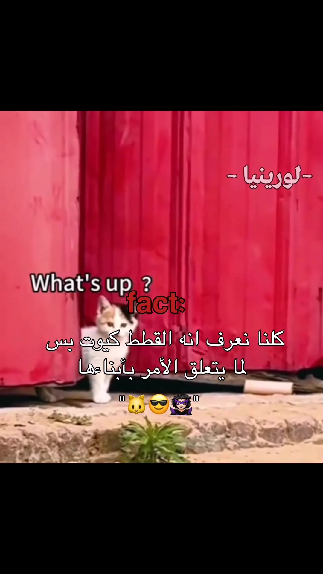 @لـوࢪيـنـيـاެ فـاެشـوטּ🐼ᐟ੭̲᱖ּ