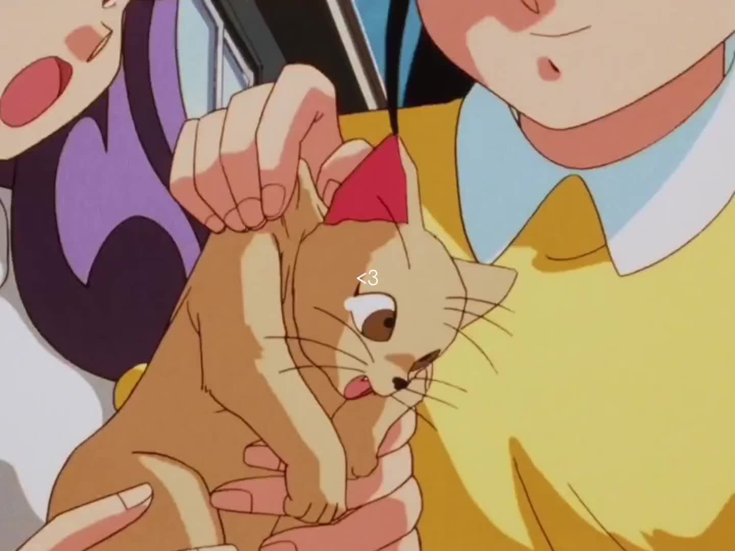 @𝐙☆