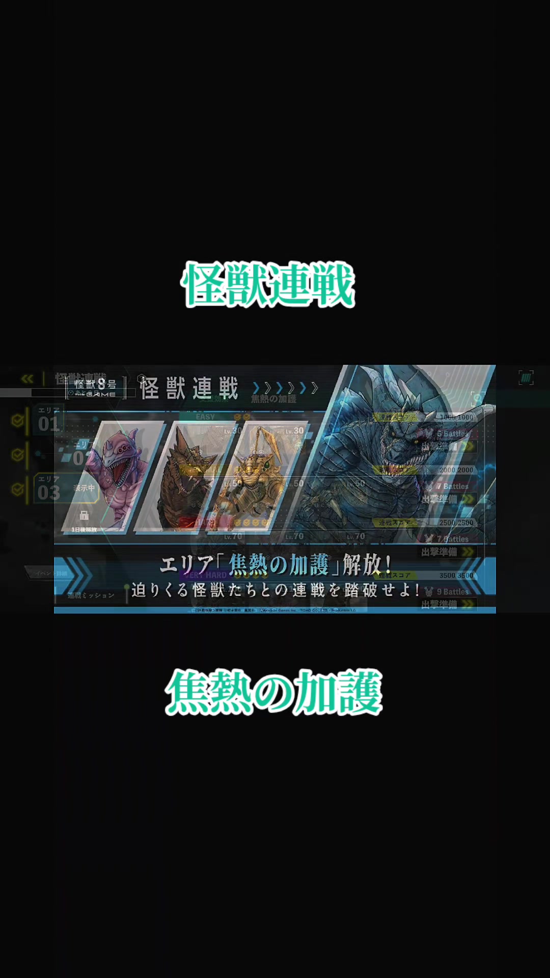 @猫