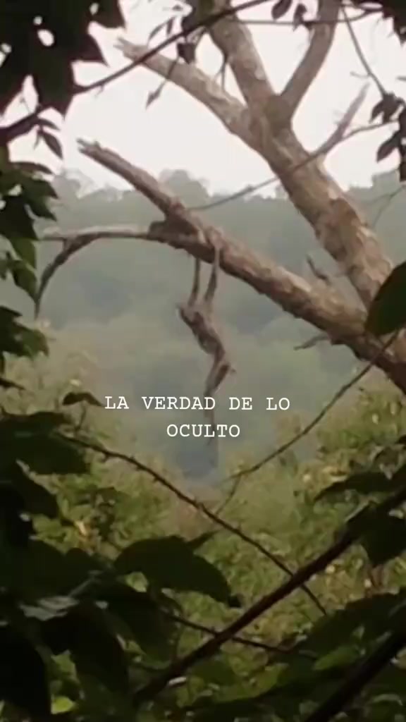 @Roberto Castellanos