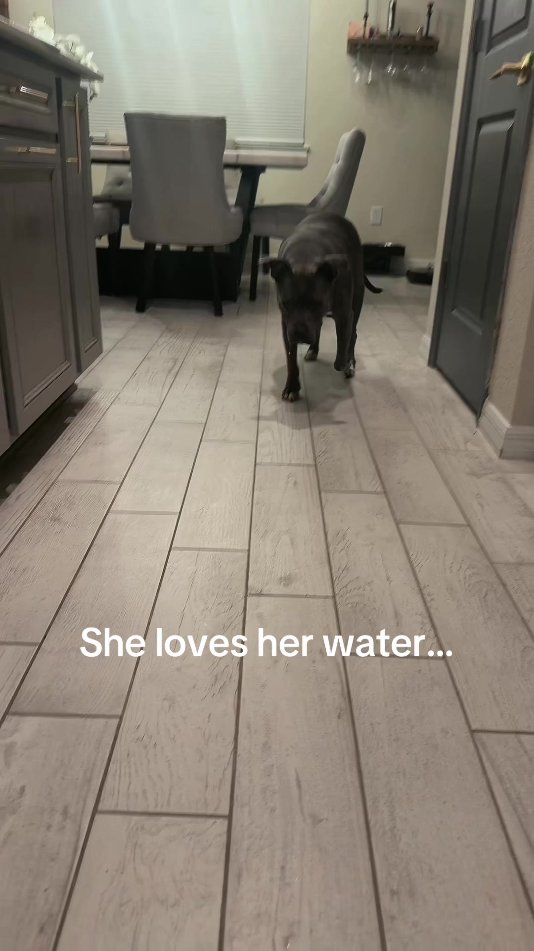 @𝓛𝓪𝓾𝓻𝓪 ⚘