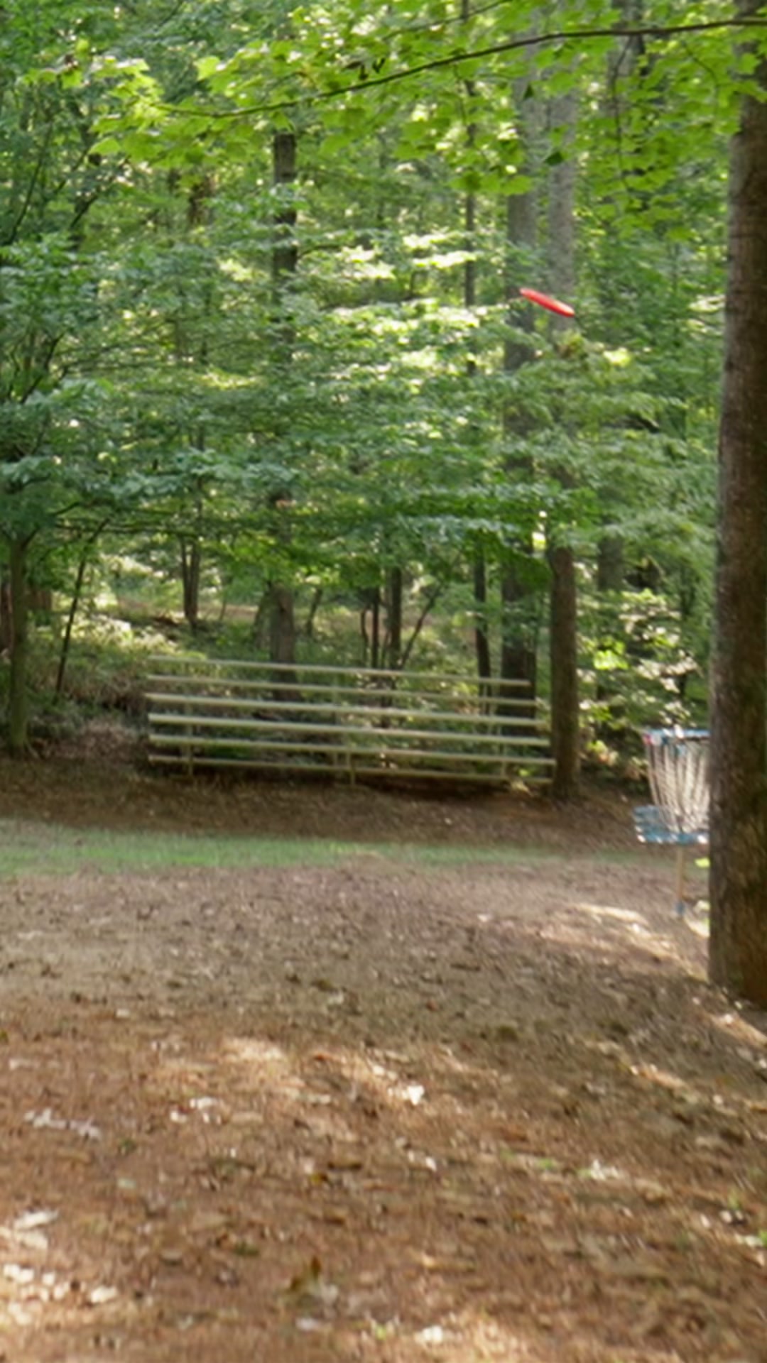 @Foundation DiscGolf