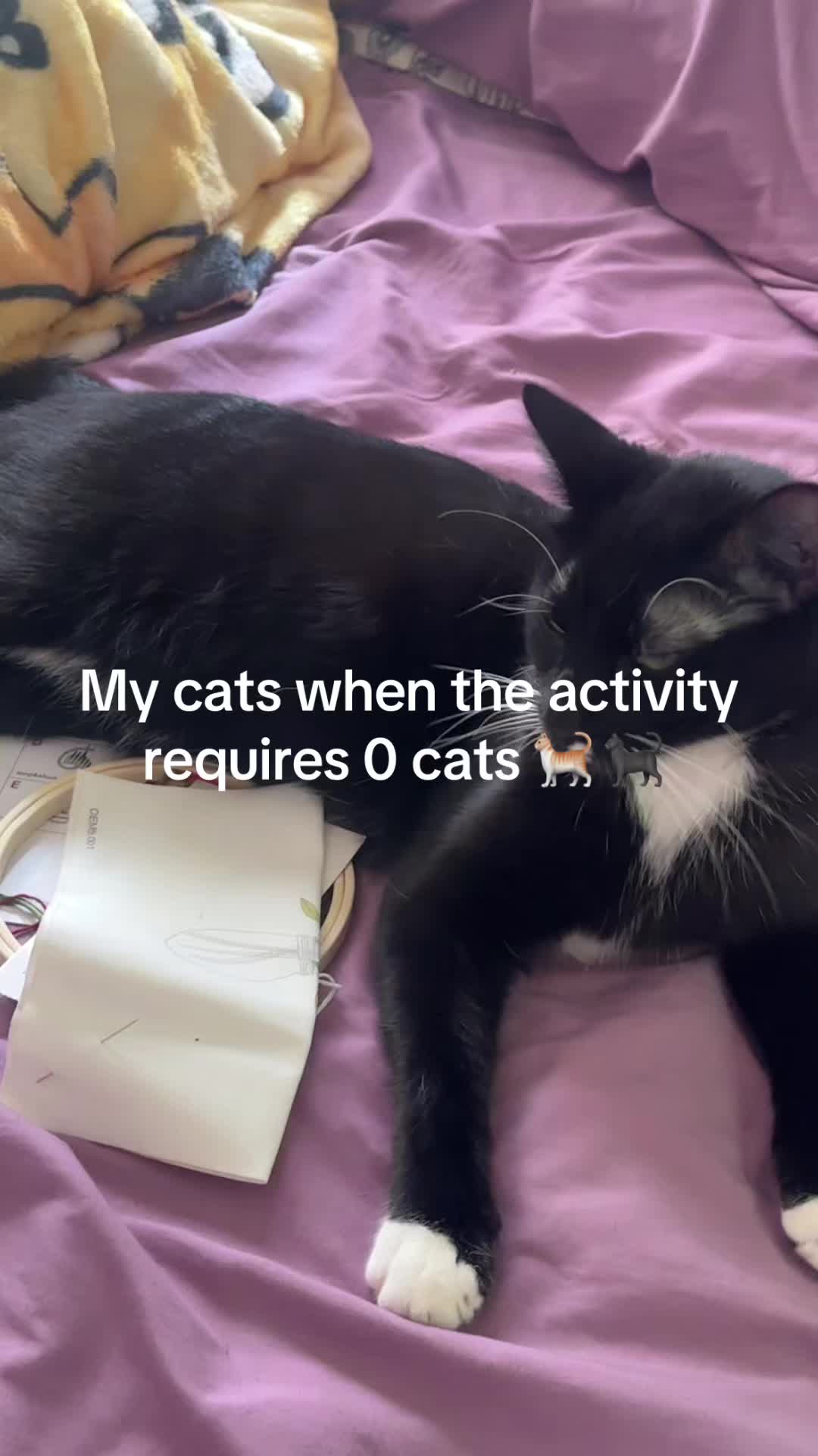 @lazywitch66