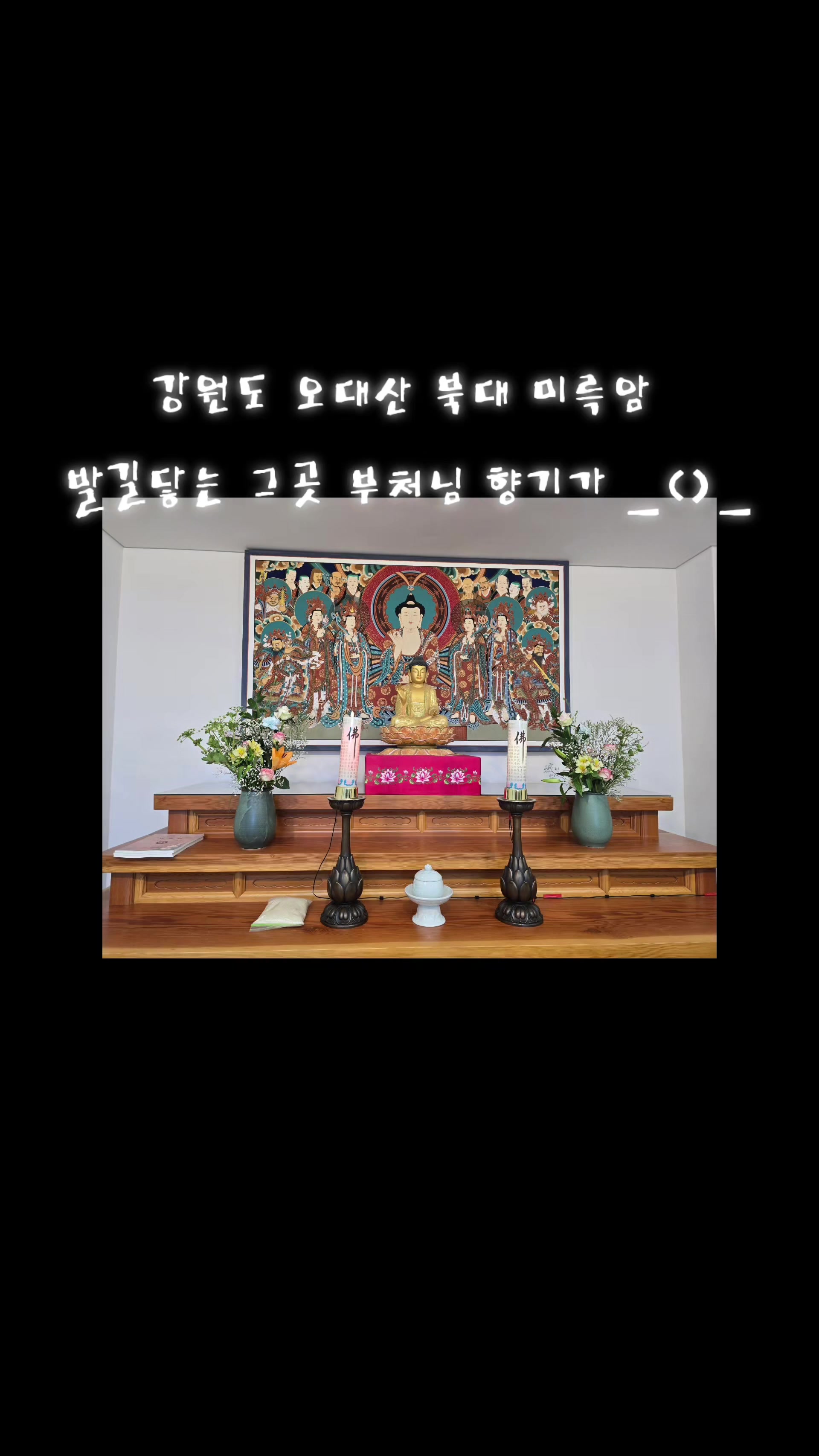 @#장보경힐링타로#장보경힐링타로사주이야