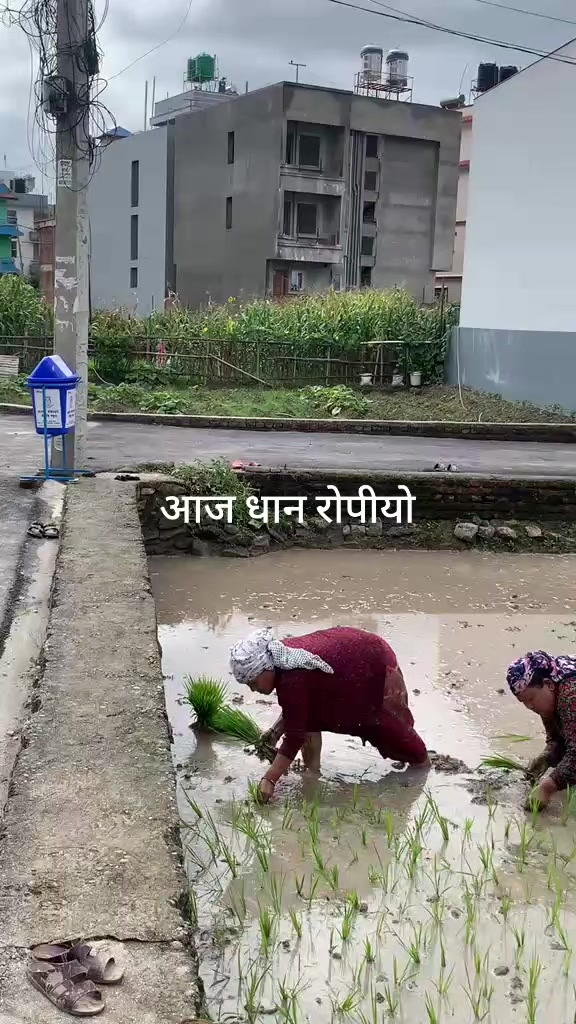 @thapasuresh748