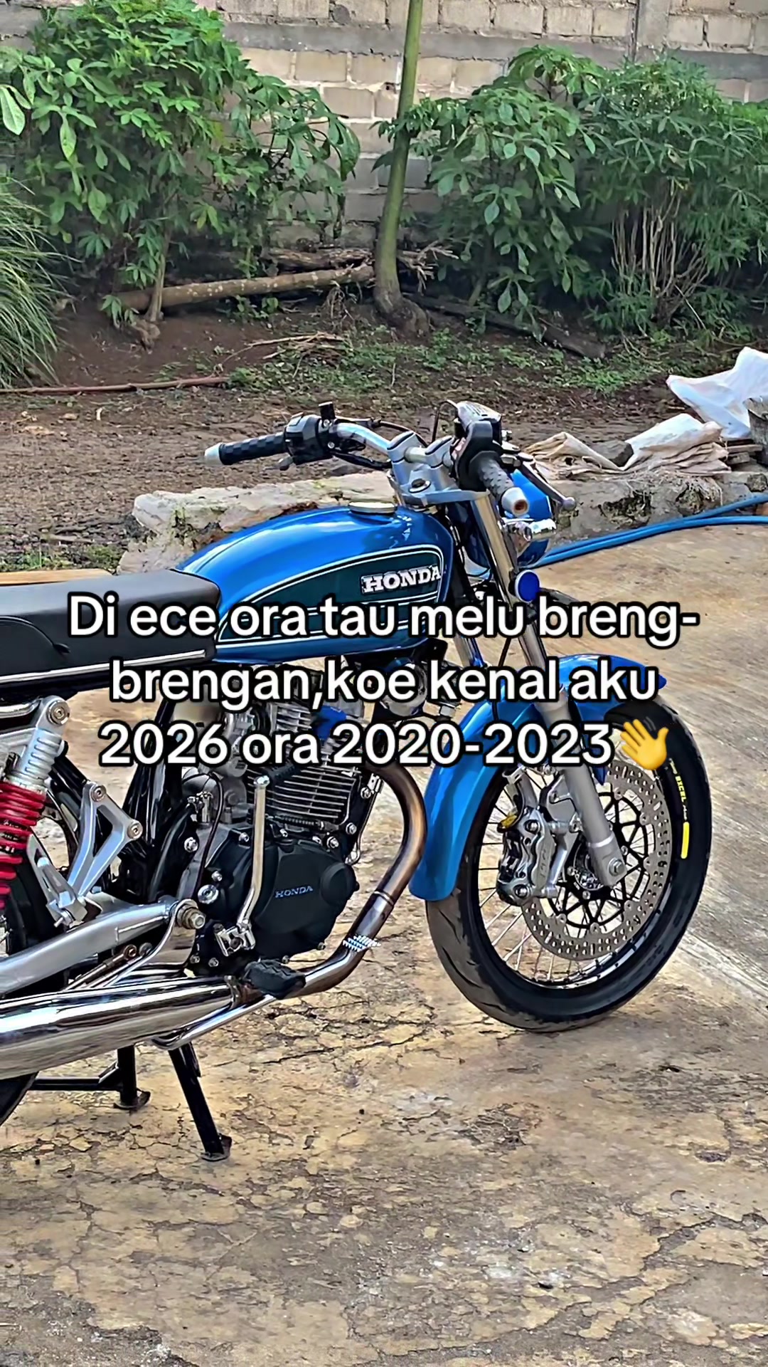 @Ari Gendon