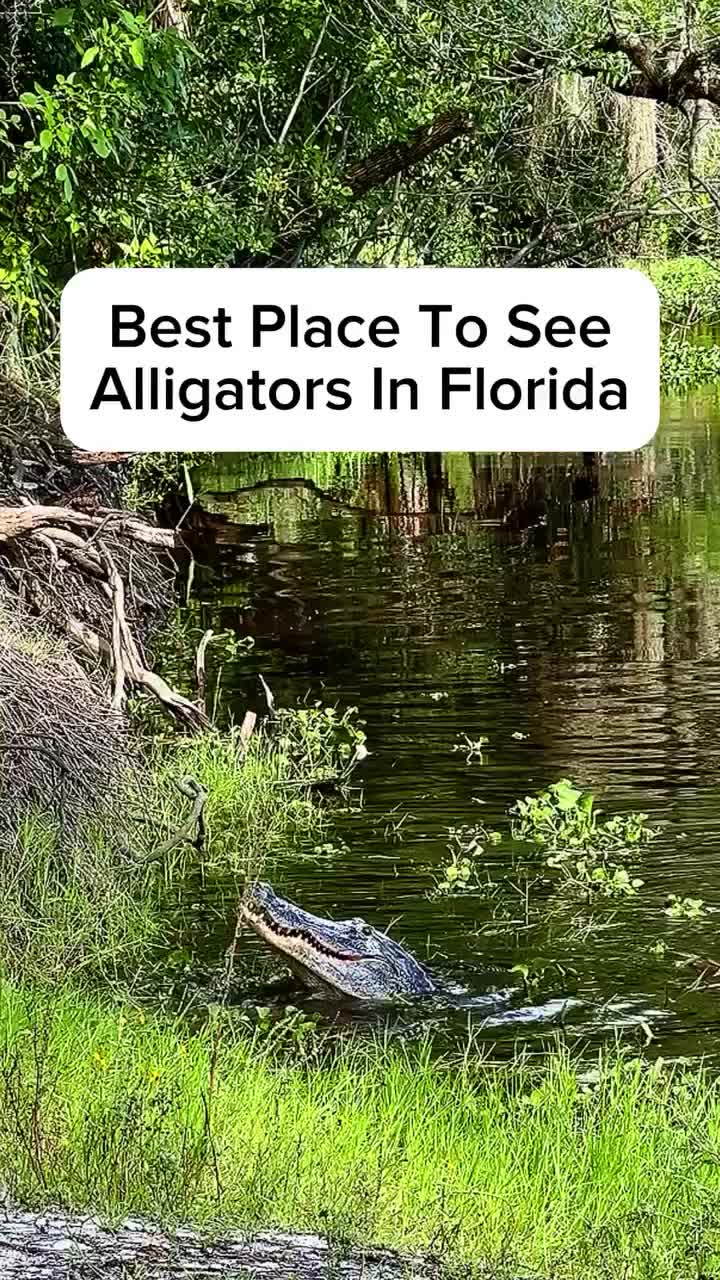 @thefloridaqueenie