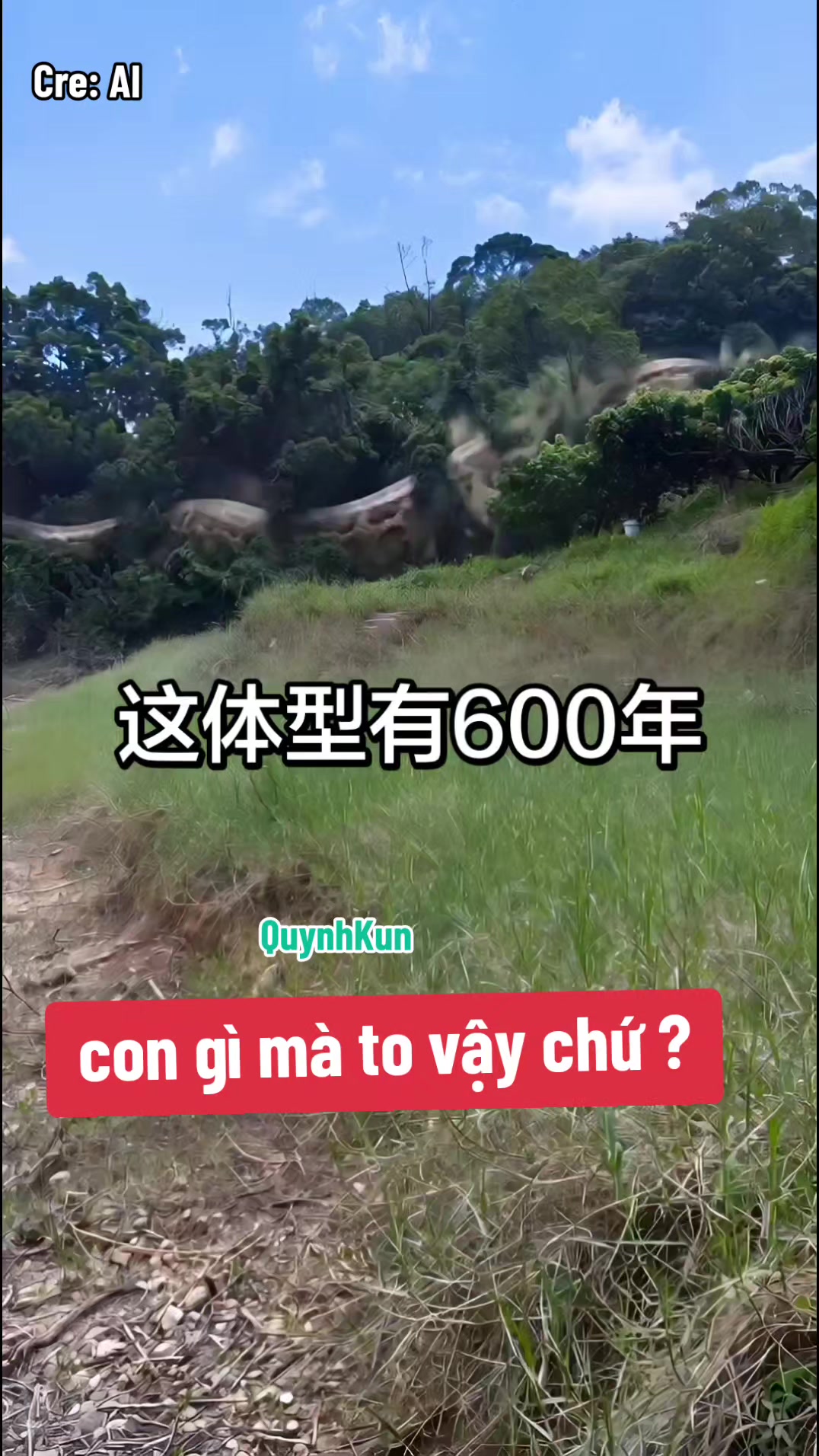@QuynhKun