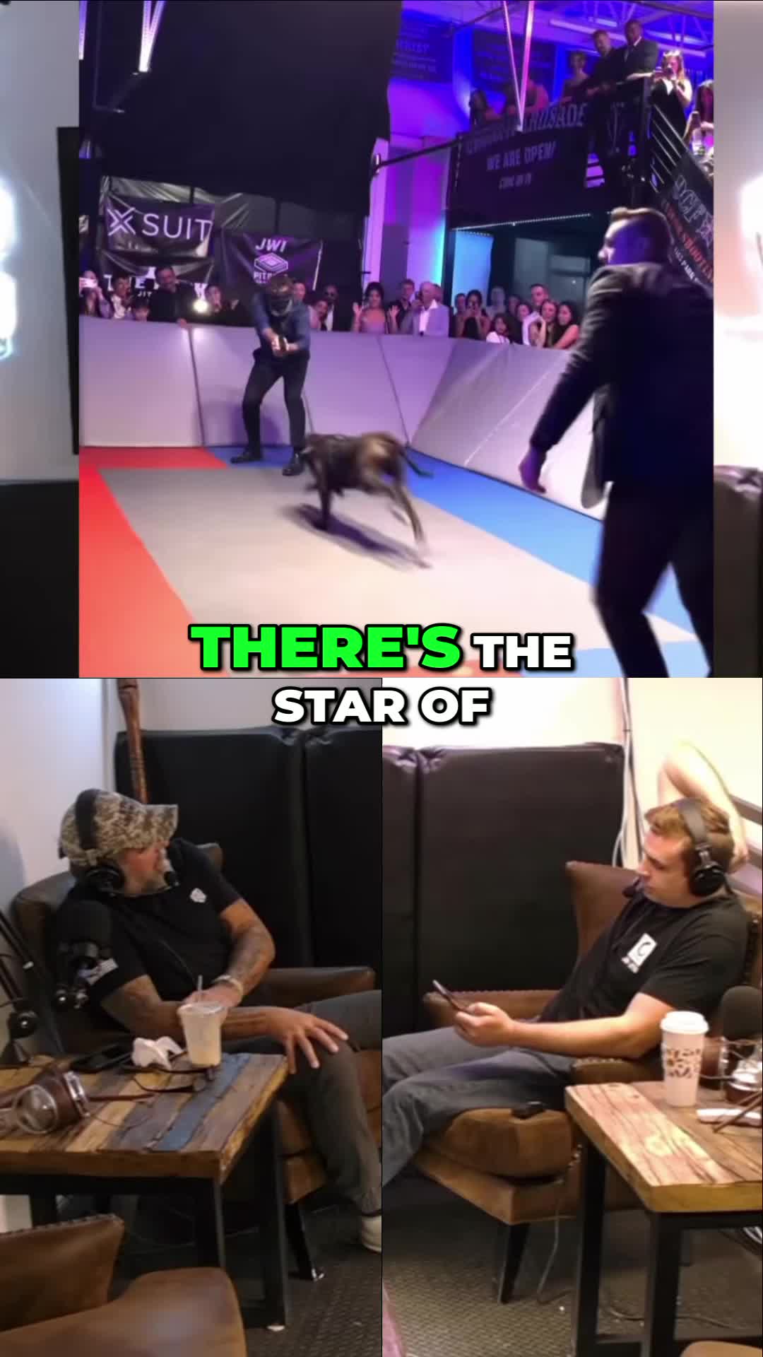 @TheDailyCarryPodcast