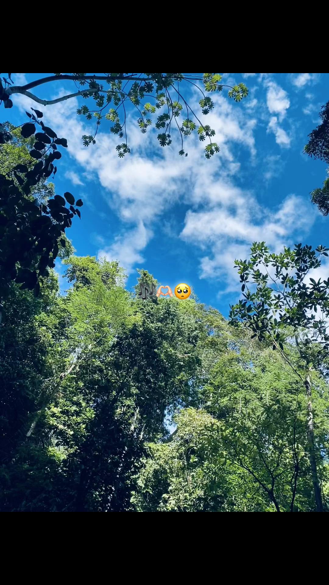 @Alejita 🐼