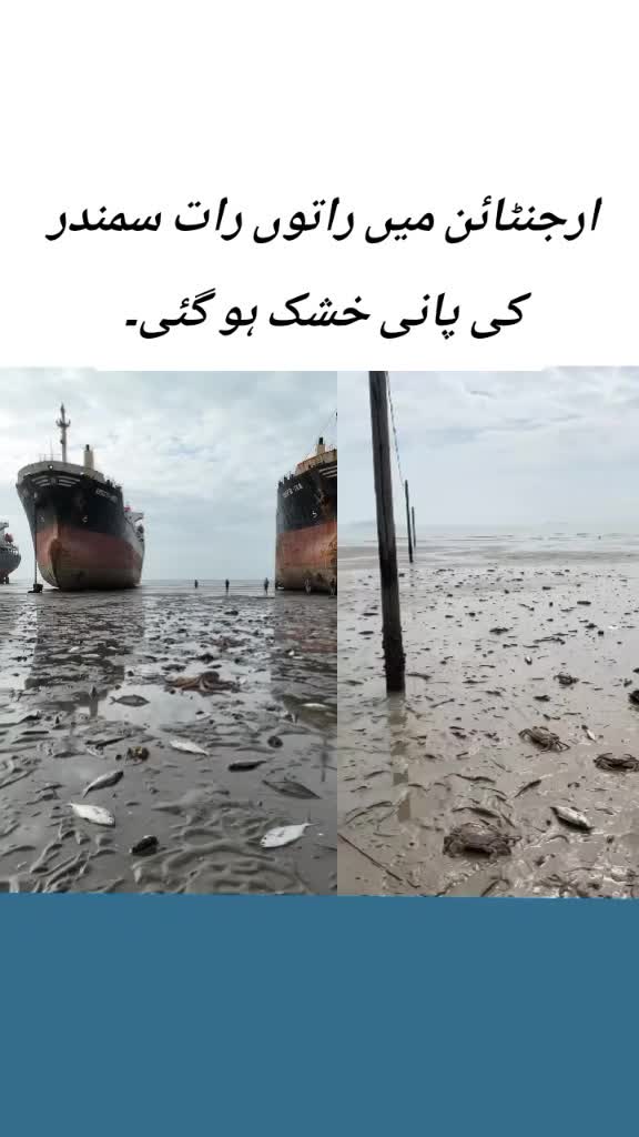 @shahidabbas