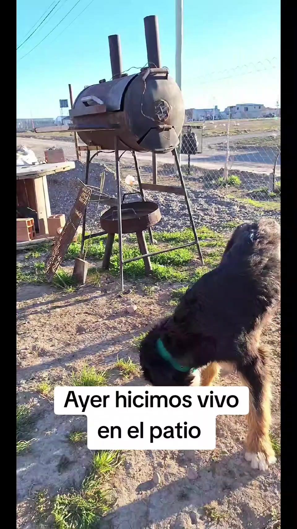@Ro Alonso