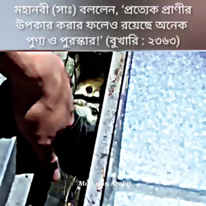 @MD Yasin Arafat