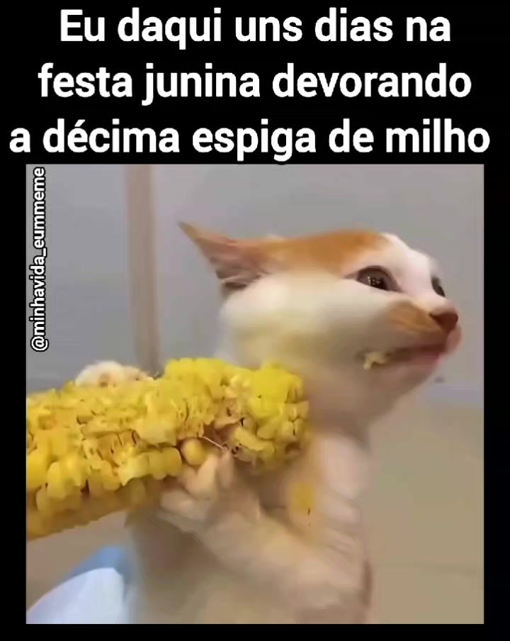 @"MINHA VIDA &Eacute; UM MEME"