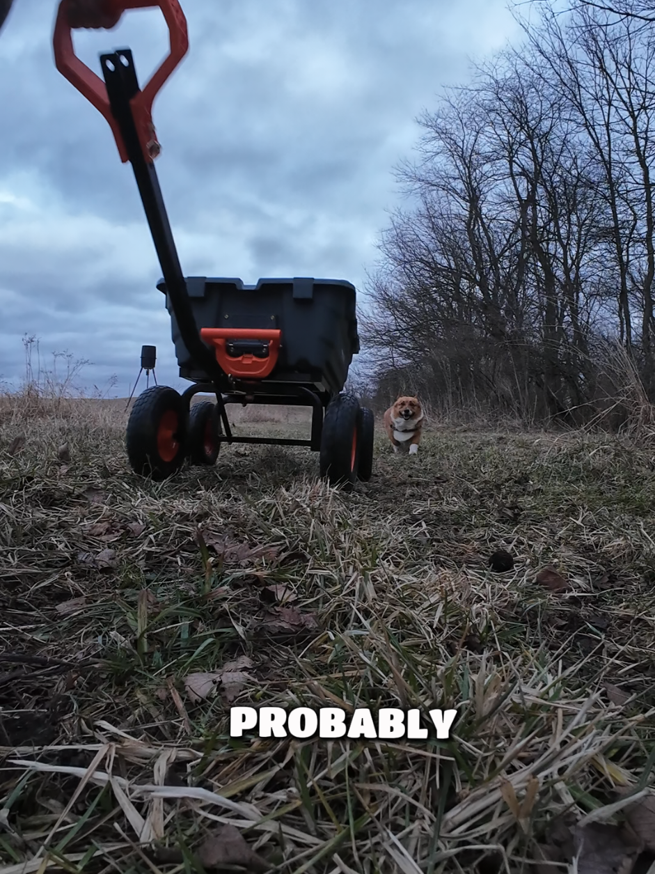 @Farmer Jake
