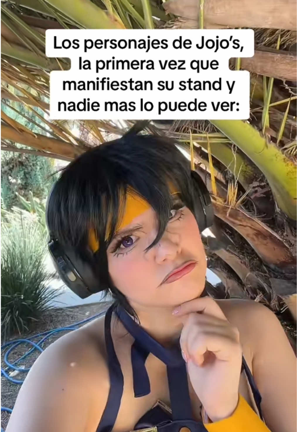 @Tere Joestar