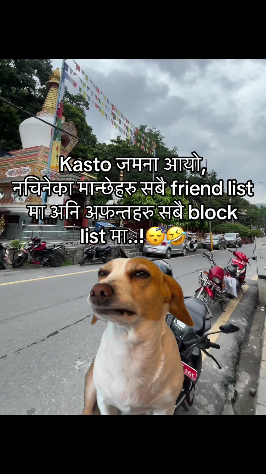 @अजय राज धामी 🇵🇹