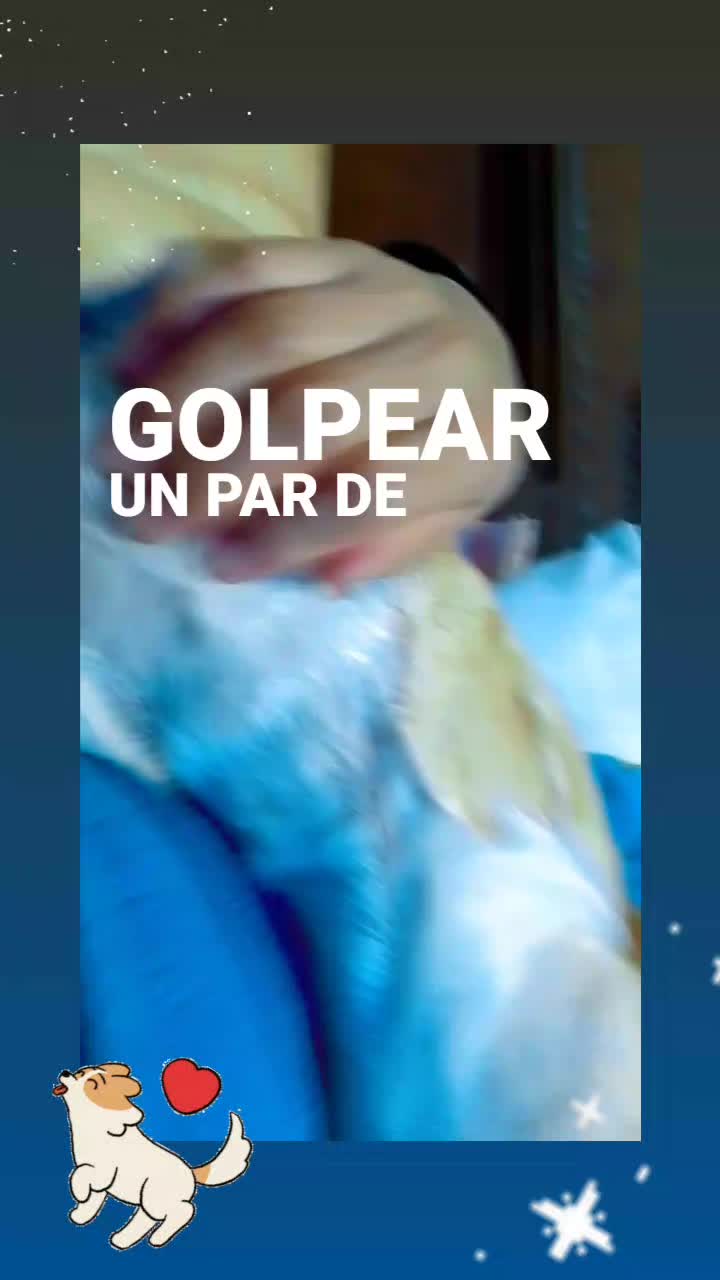 @Willer Andres Villar