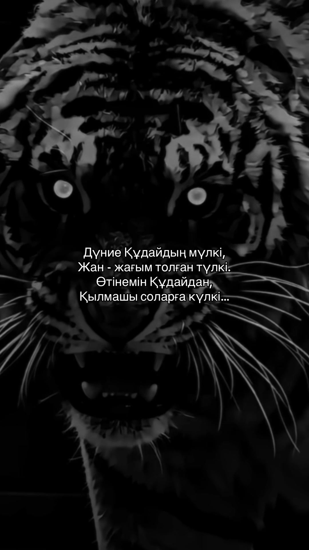 @zeroo_0011