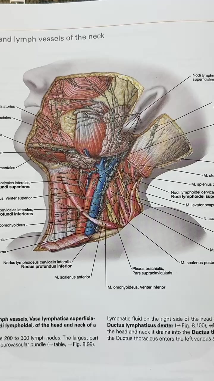 @doctor