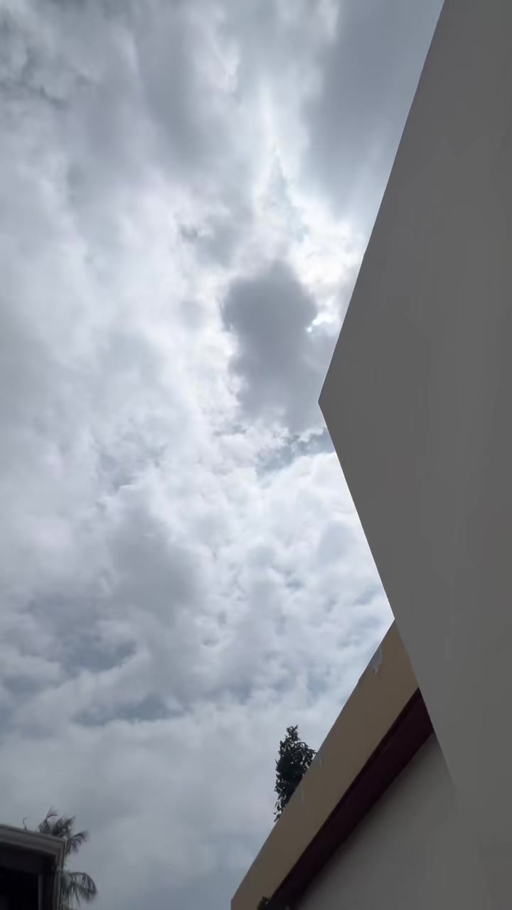 @𝐦𝐫_𝐝𝐞𝐥𝐩𝐡𝐢𝐧_🀄️🐾