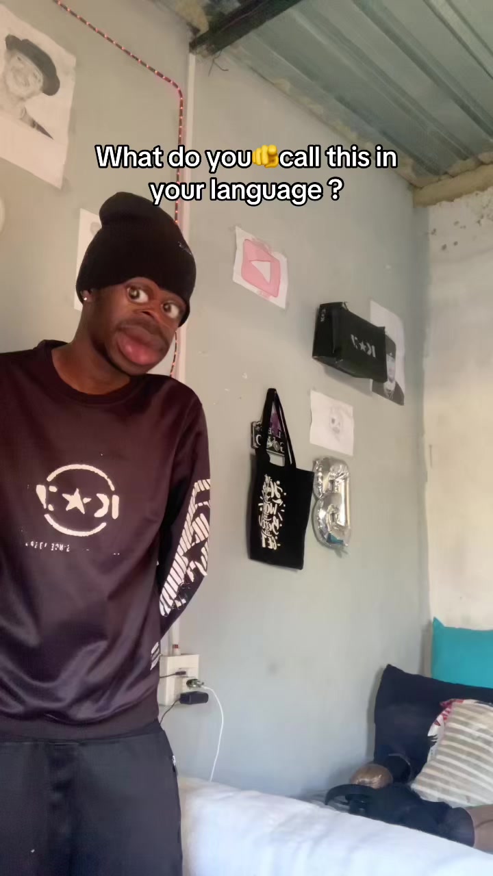 @TheBearSoundz✅️