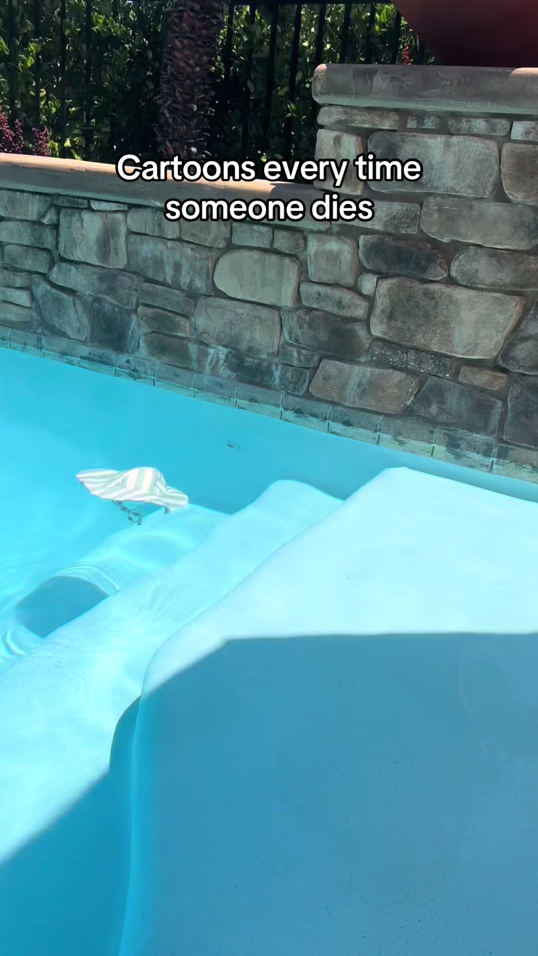 @demi devito