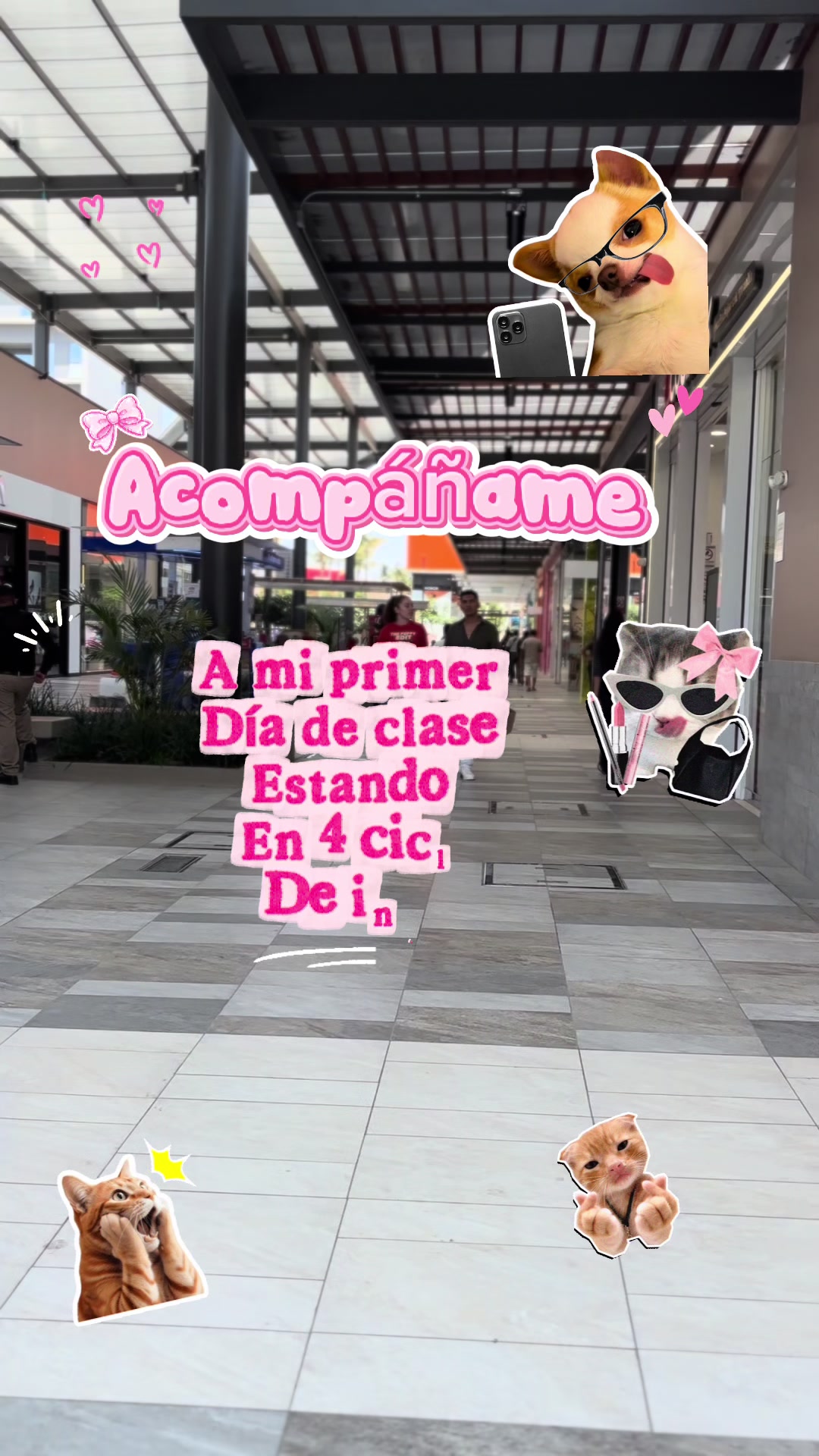 @𝙉𝙖𝙩𝙝𝙖𝙡𝙮🐈&zwj;⬛ 🌪️☄️