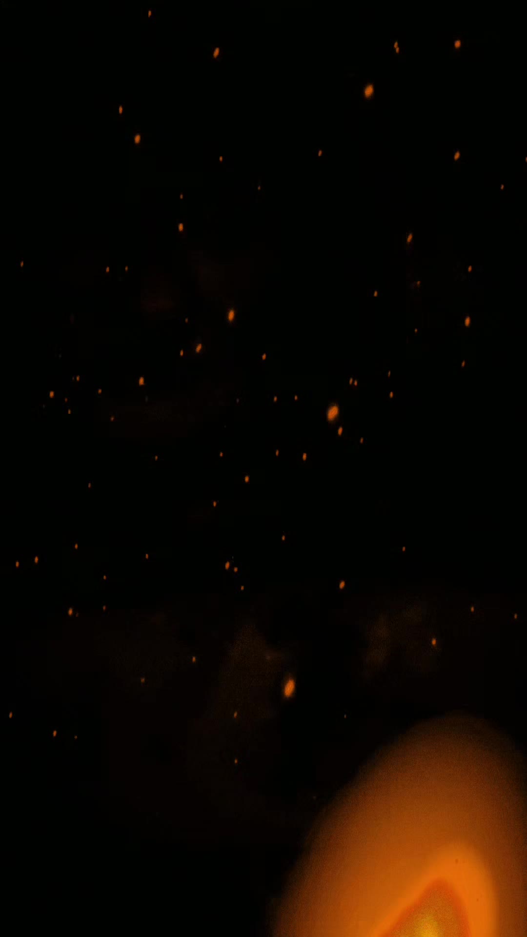@❌️🦗bug❌️