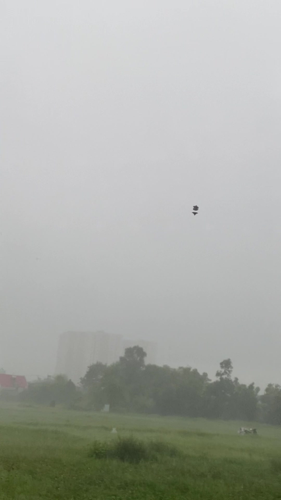 @Thả diều cùng Lợi